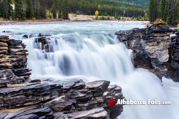 Athabasca Falls During July