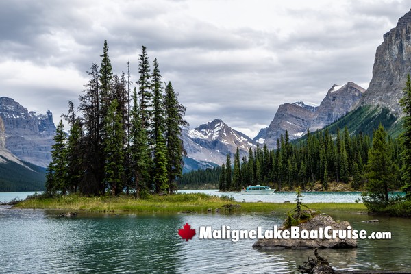 Maligne Lake Boat Cruise During July