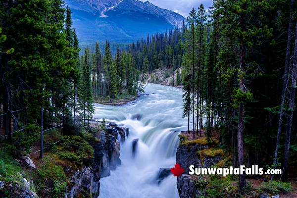 Sunwapta Falls in July